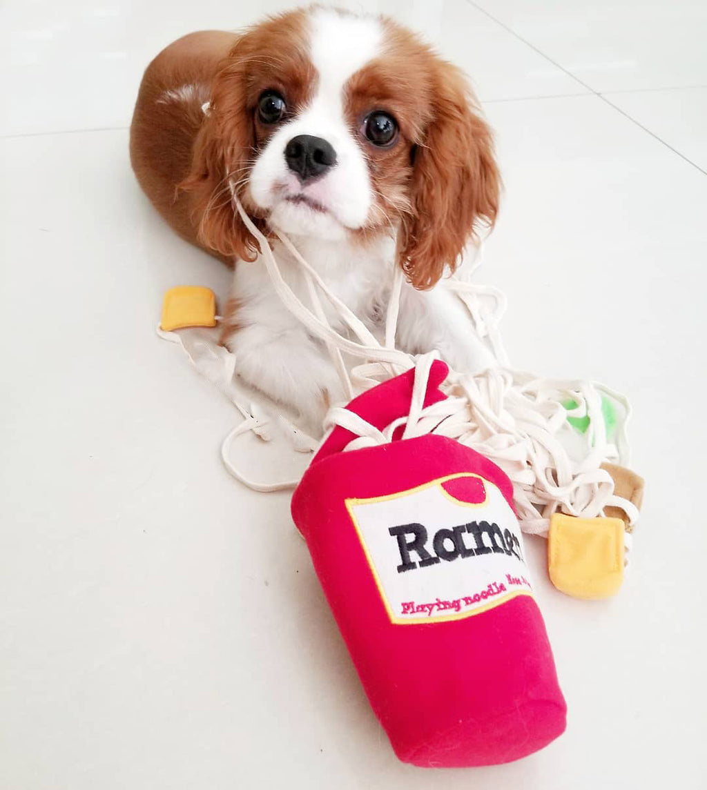 Korea Ramen Sniffing Interactive Foreign Trade Factory Single Cute Pet Leaking Food Toy Dog Pet Sniffing Toy