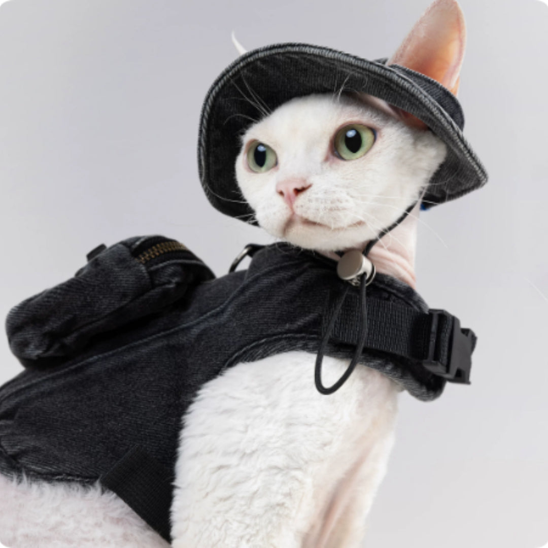 Adjustable Traction Vest And Fisherman's Hat Set For Walking A Cat In Devon.