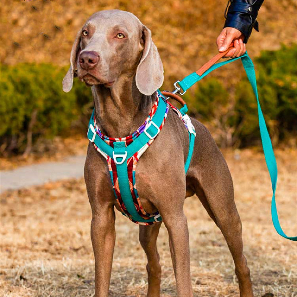 A Dog Chest Strap Prevents Medium And Large From Breaking Off In The Summer