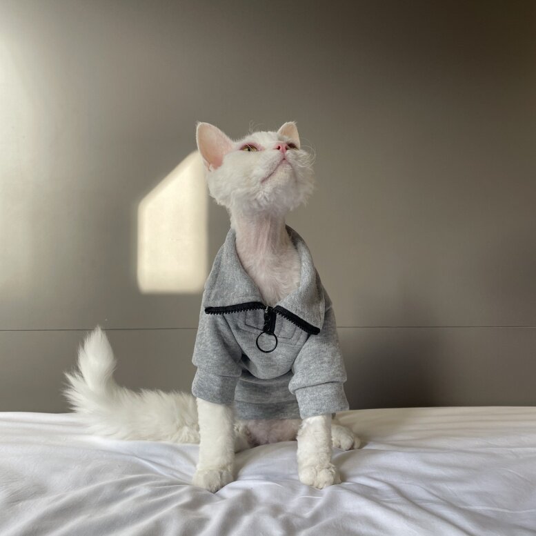 Zippered Lapel-collar Pure Cotton Skin-friendly Pet Cat Clothing