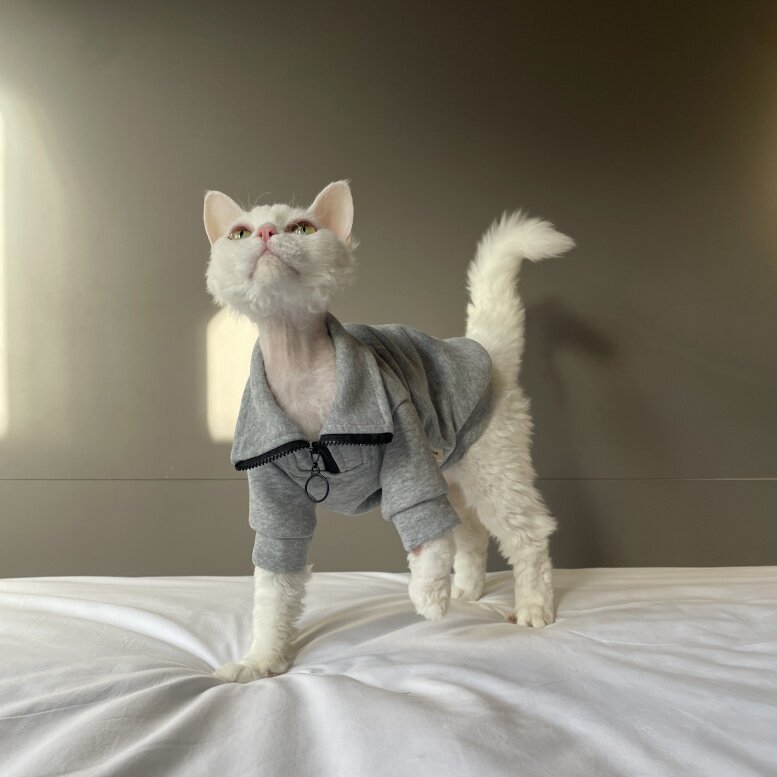 Zippered Lapel-collar Pure Cotton Skin-friendly Pet Cat Clothing