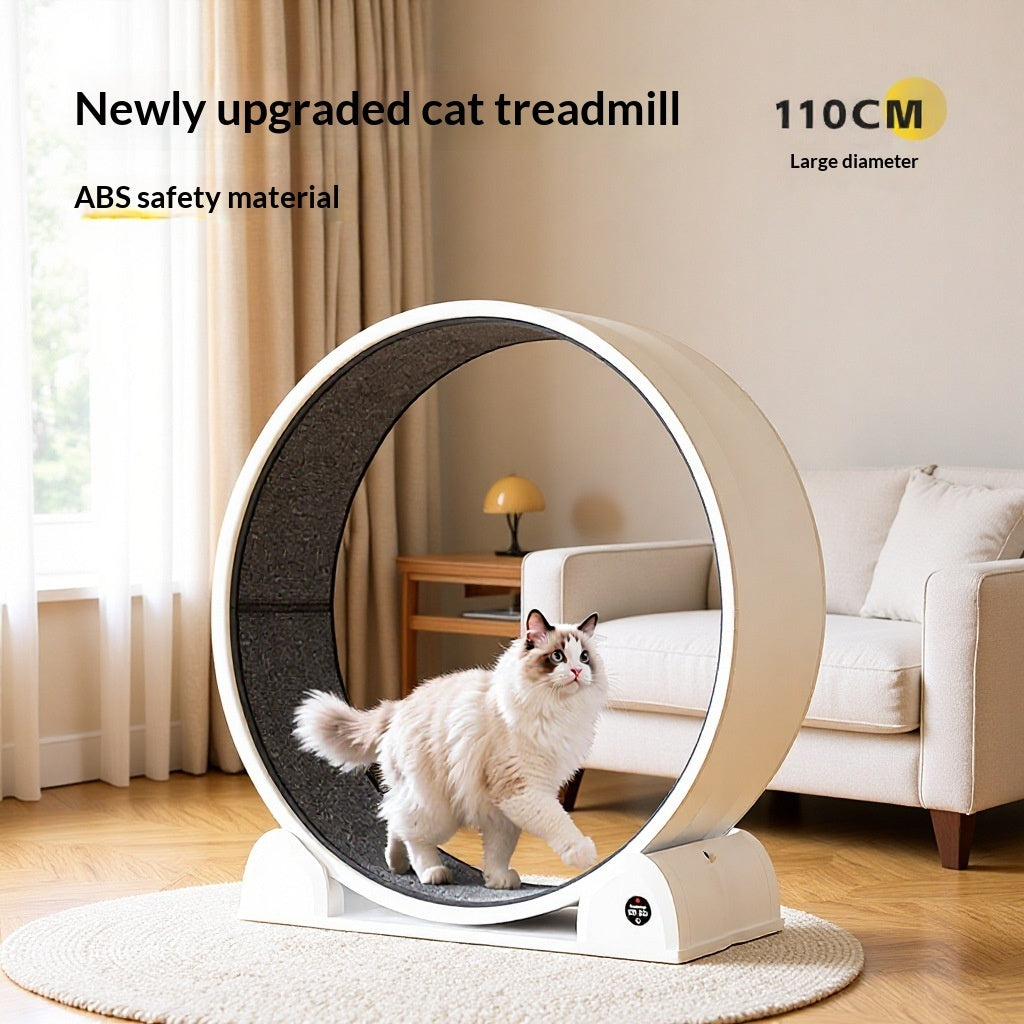 Smart, Displayable ABS Cat Treadmillcats Love To Play