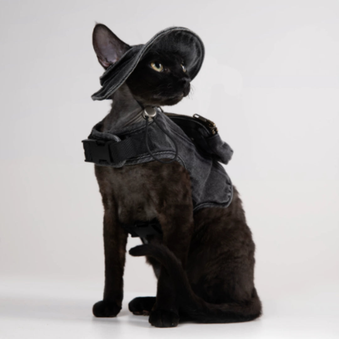 Adjustable Traction Vest And Fisherman's Hat Set For Walking A Cat In Devon.