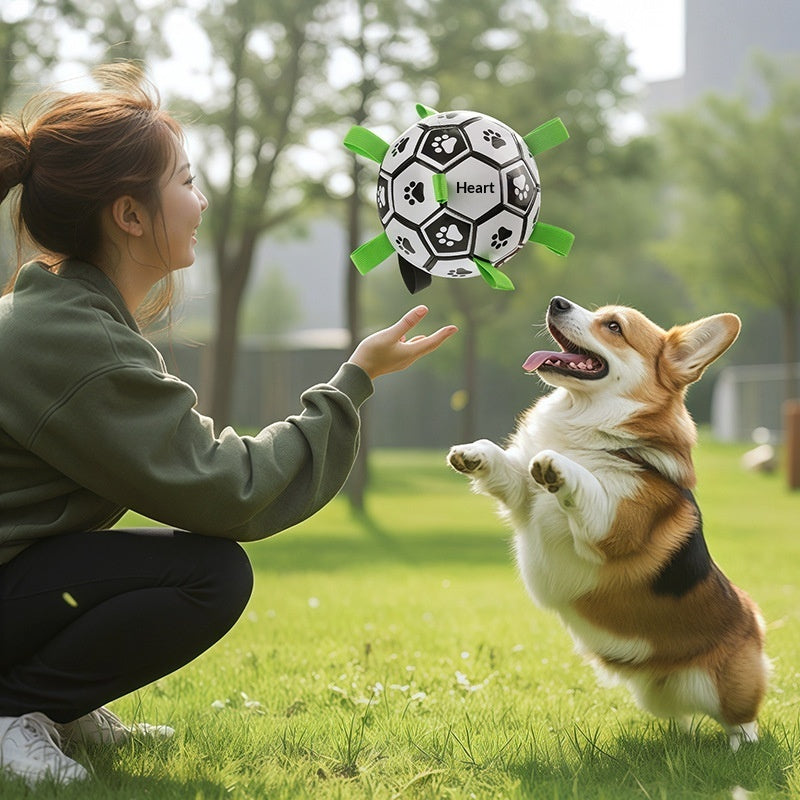 Dog Toy Ball For Chewing And Fetching