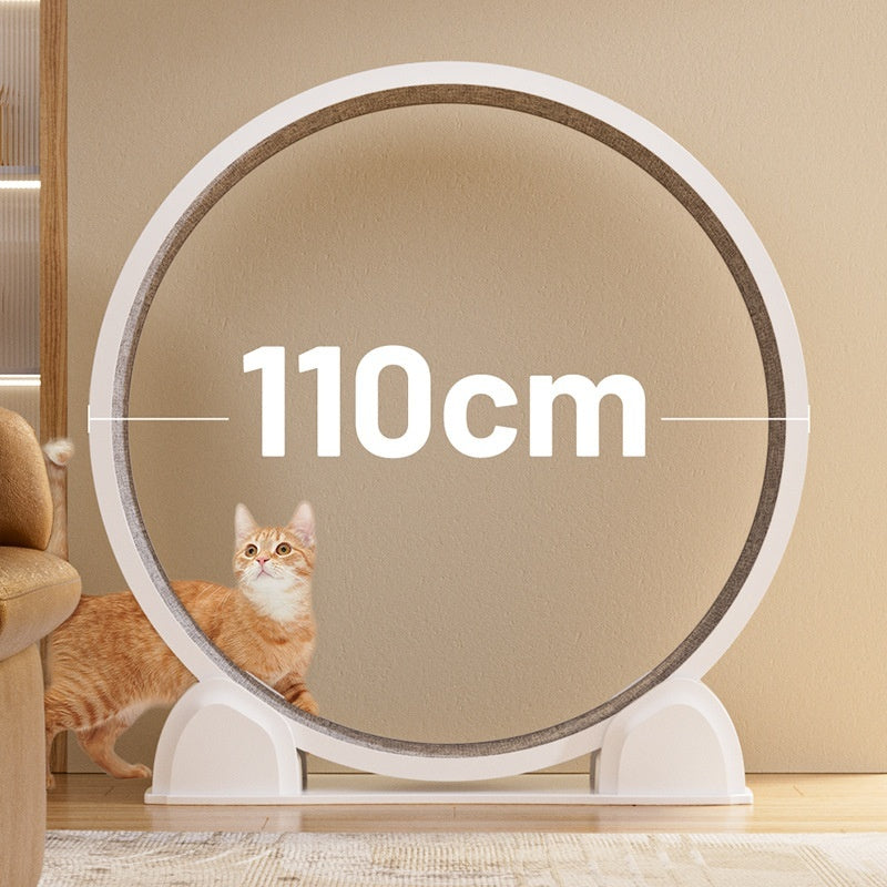 Smart, Displayable ABS Cat Treadmillcats Love To Play