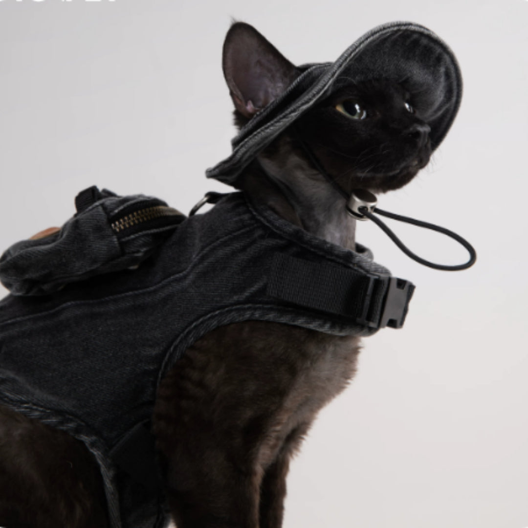 Adjustable Traction Vest And Fisherman's Hat Set For Walking A Cat In Devon.