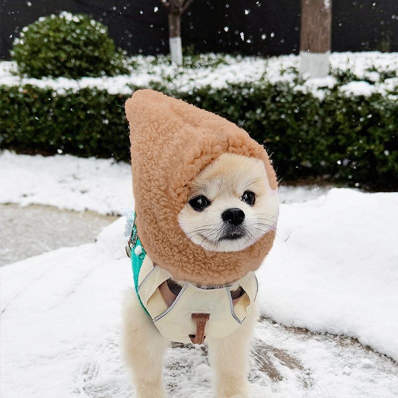 Cute Casual Winter Pet Hooded Hat