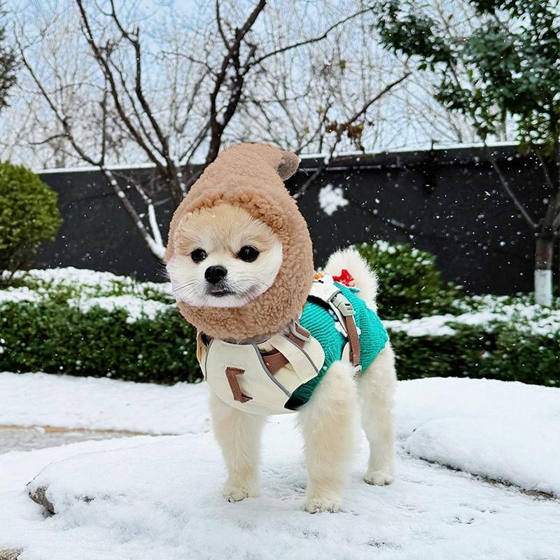 Cute Casual Winter Pet Hooded Hat